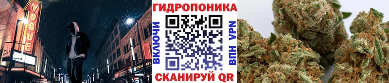 Цена Темников Конопля  A PVP  ГАШ  Кокаин 