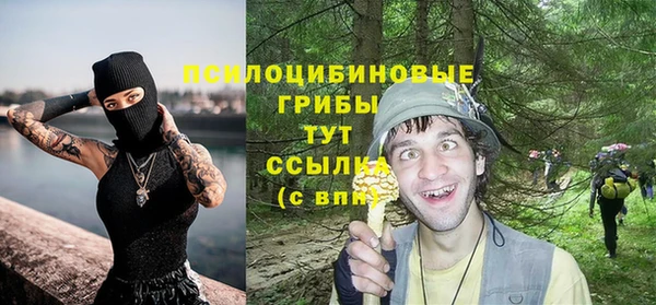 герыч Надым